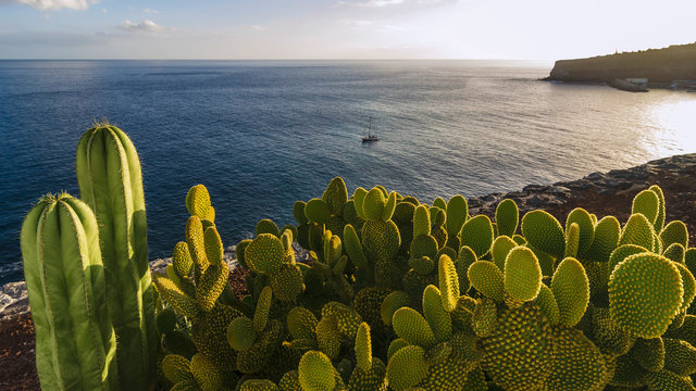 Gran Canaria bis Bremerhaven